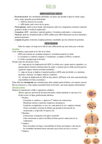 nucleo.pdf
