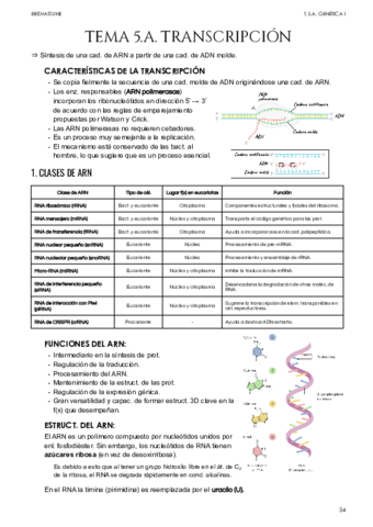 Tema-5A-Transcripcion.pdf