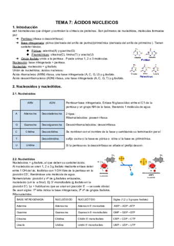 TEMA-07-Acidos-nucleicos-1.pdf