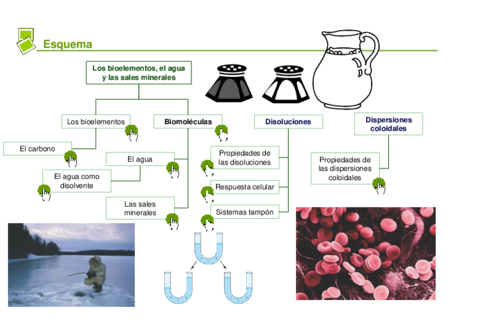 Agua, sales minerales. Dispersiones coloidales.pdf