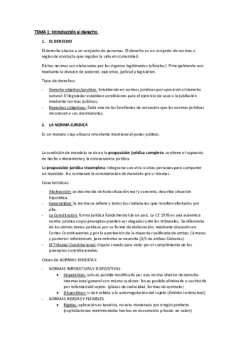 TEMA-1.pdf