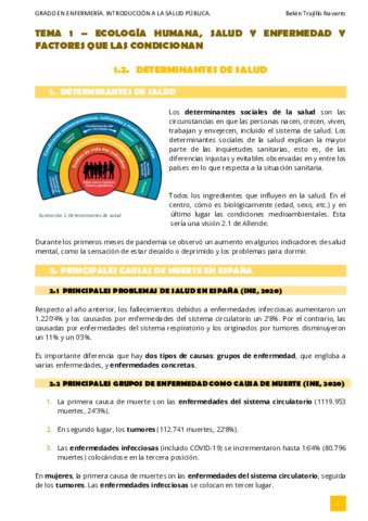 ISP-Tema1-2DeterminantesSalud.pdf