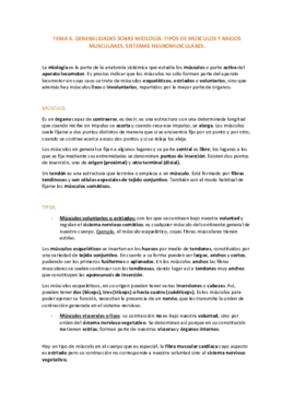 TEMA 6.pdf