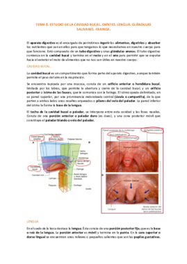 TEMA 8.pdf