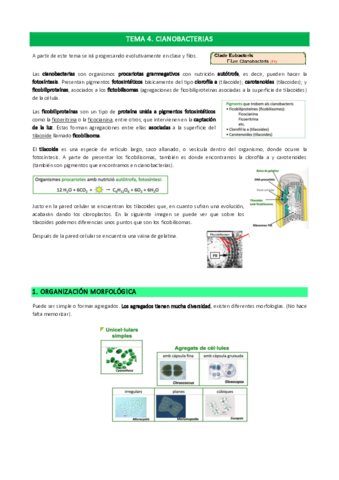 Tema-4.pdf