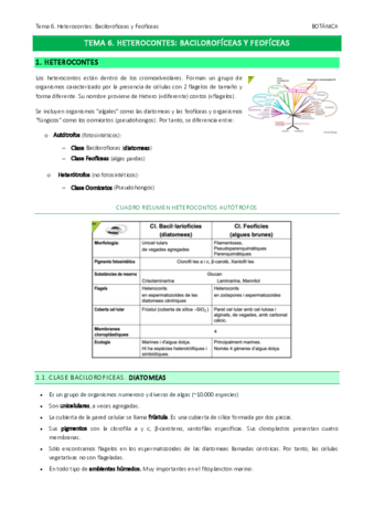 Tema-6.pdf