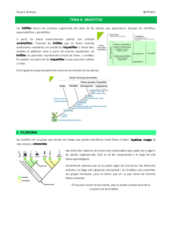 Tema-9.pdf