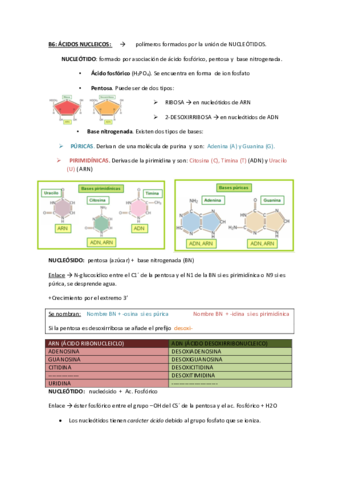 Tema6ApuntesSanAcidosNucleicos.pdf