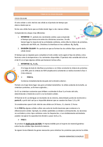 Tema10ApuntesSanCicloCelular.pdf