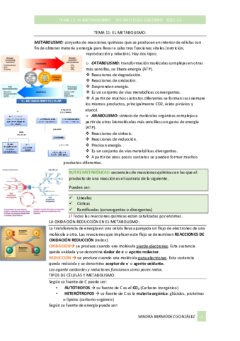 Tema11ApuntesSanMetabolismo.pdf