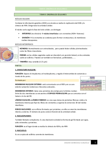 Tema9ApuntesSanOrganulosCelulares.pdf