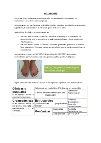 Tema14ApuntesSanMutaciones.pdf