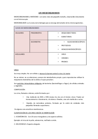 Tema19ApuntesSanMicrobiologia.pdf