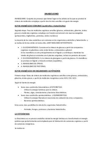 Tema12ApuntesSanAnabolismo.pdf