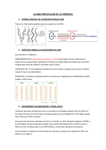 Tema15ApuntesSanGeneticaMolecular.pdf