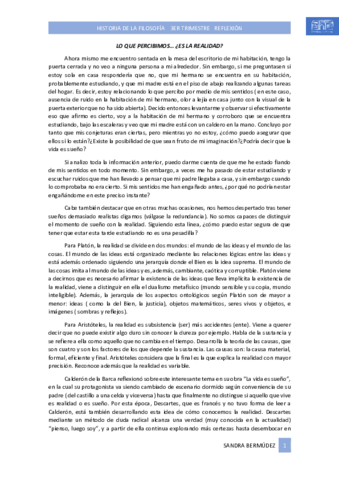 Reflexion-sobre-realidad-Sandra-Bermudez-2BACHA.pdf