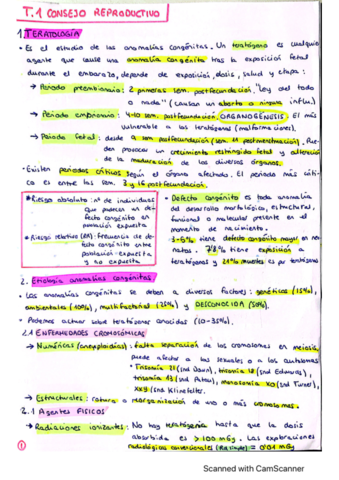 t1-obstetra.pdf