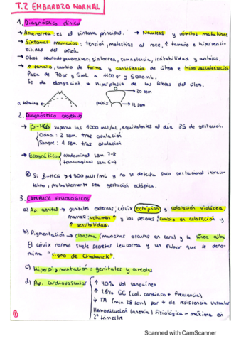 t2-obst.pdf