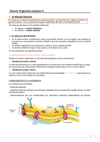 ORGANULOS-CELULARES-II.pdf