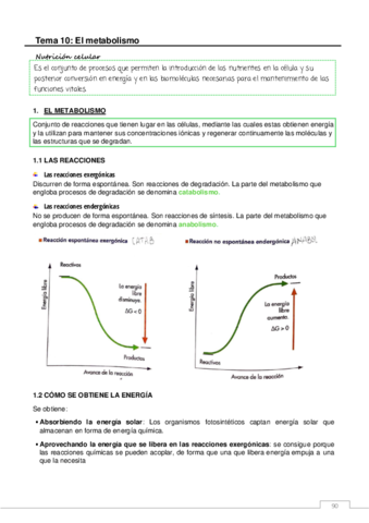 METABOLISMO.pdf