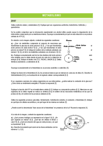 PREGUNTAS-METABOLISMO.pdf