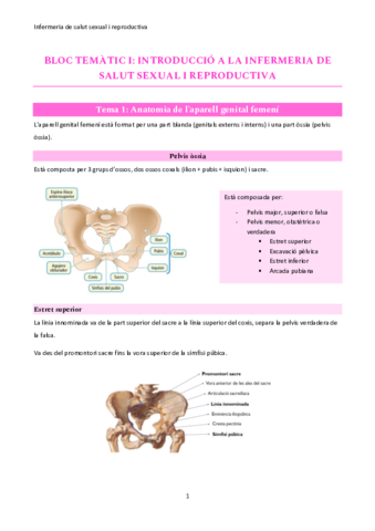 infermeria-ginecologica.pdf