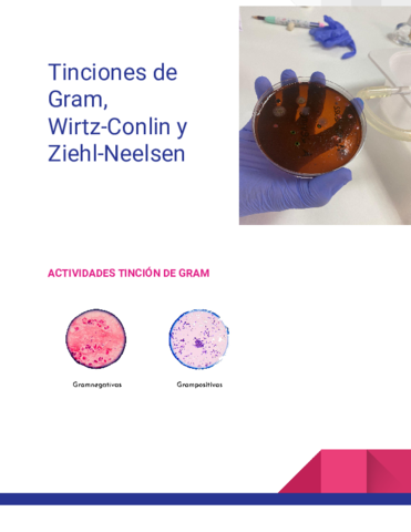 Actividades-Tinciones.pdf