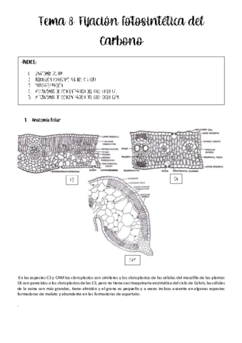Tema-8-fisio.pdf