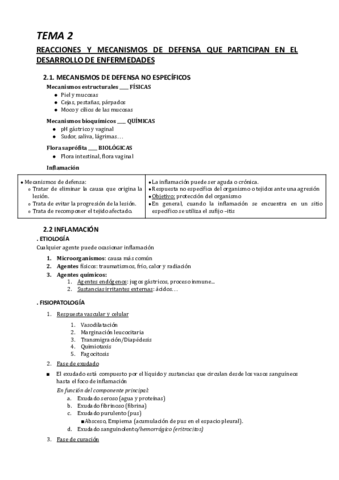 TEMA-2.pdf
