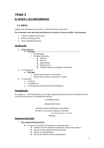 TEMA-5.pdf