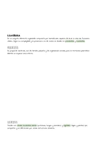 TEMA-5.pdf
