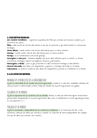 TEMA-10.pdf