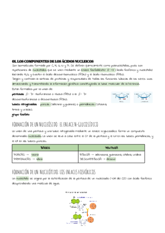 TEMA-4.pdf