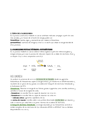TEMA-9.pdf