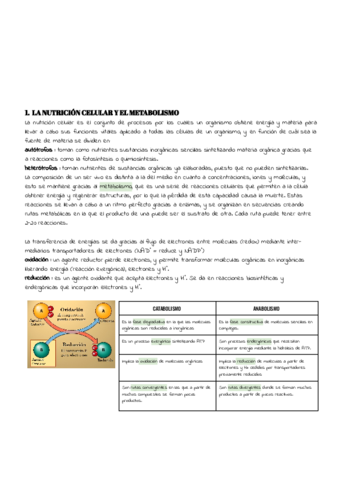 TEMA-8.pdf