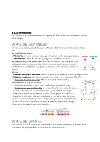 TEMA-12.pdf