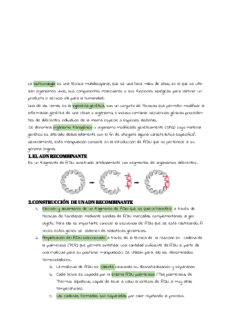 TEMA-13.pdf