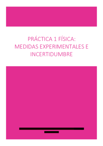 FisicaPractica1.pdf