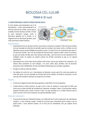 biocel-segon-parcial.pdf