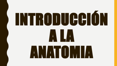 Introduccionalaanatomia.pdf