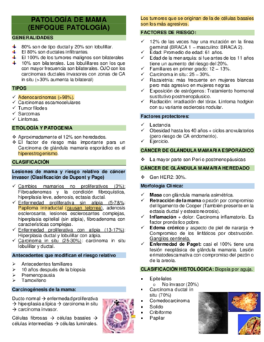 PATOLOGIA-DE-MAMA.pdf