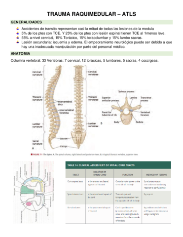 TRAUMA-RAQUIMEDULAR.pdf