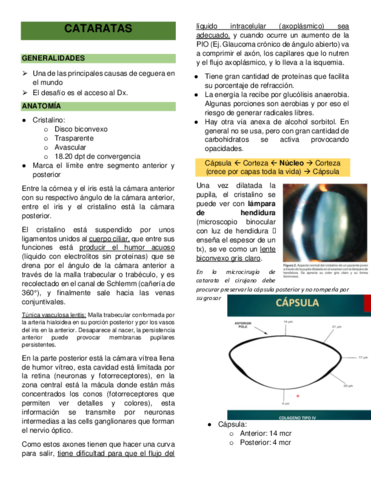 CATARATAS.pdf