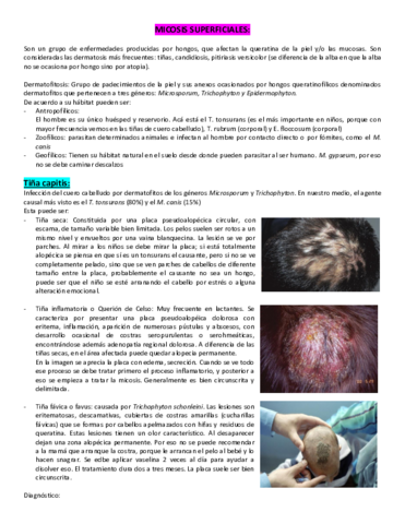 Micosis-superficiales.pdf