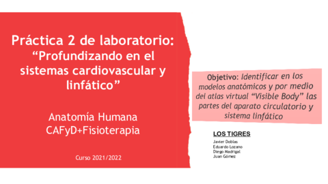 Practica-2-laboratorioSistema-cardiovLinfaticoMix2021.pdf