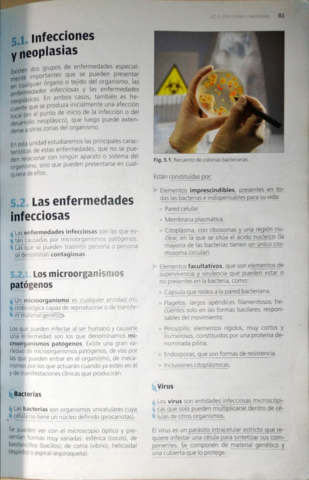 INFECCIONES-Y-NEOPLASIAS.pdf