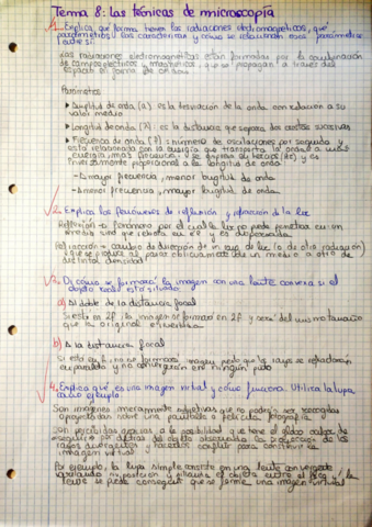 Ejercicios-Tema-8.pdf