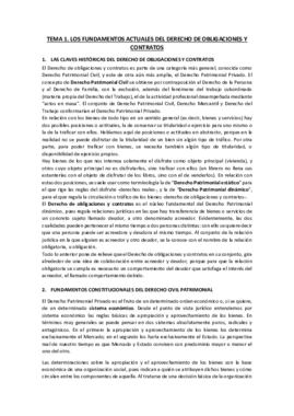 TEMA 1 Patrimonial I.pdf