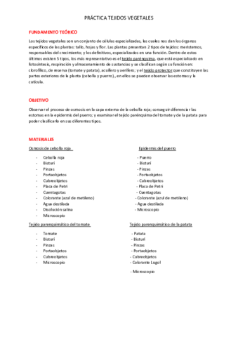Practica-tejidos-vegetales.pdf