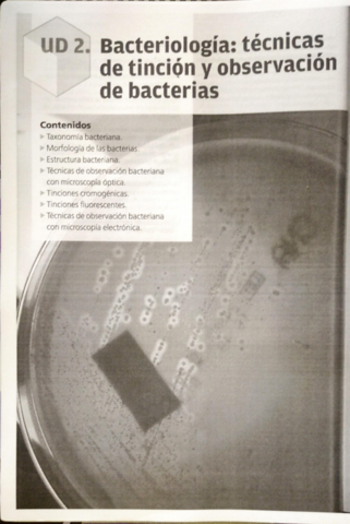 Tema-2-Bacteriologia-tecnicas-de-tincion-y-observacion-de-bacterias-.pdf